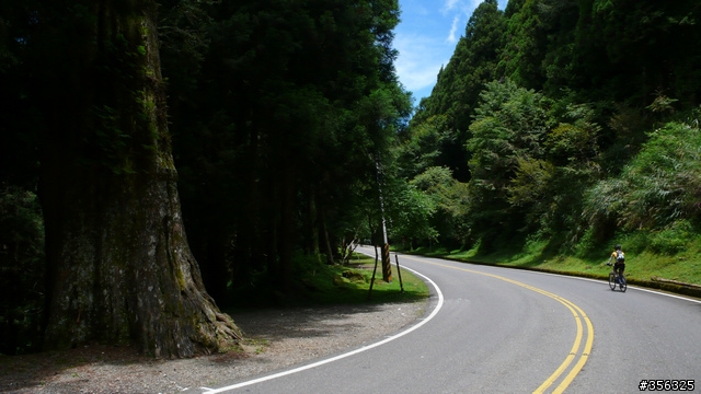 我們騎單車,我們遇見玉山。