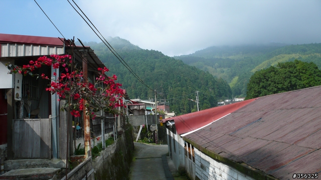 我們騎單車,我們遇見玉山。