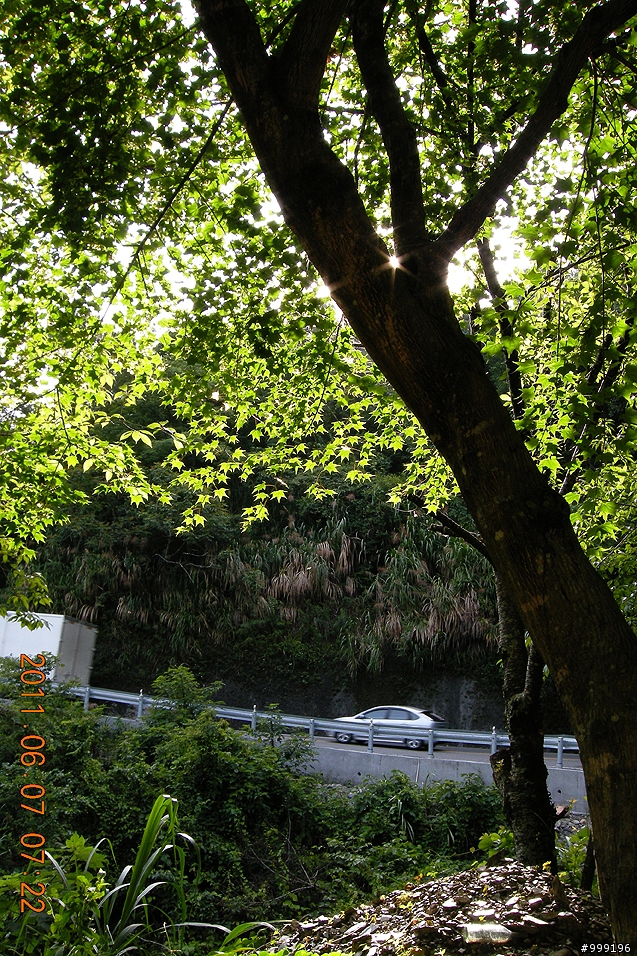 2011.06.07中橫挑戰行(西進東出)