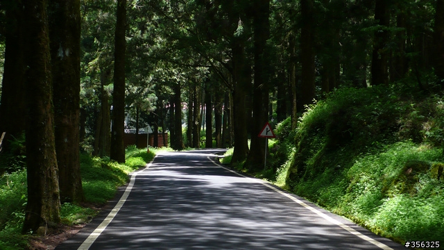 我們騎單車,我們遇見玉山。