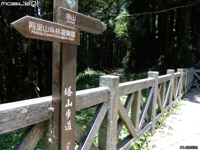 端午連假去山上