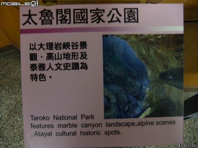 端午連假去山上
