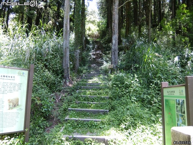 端午連假去山上