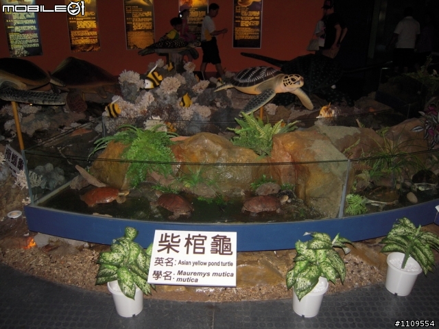 從頭 "塞" 到尾的澎湖之旅 ..... ( 圖多 )