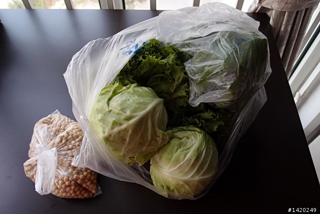 北京生活之宅應用~順手網體驗分享