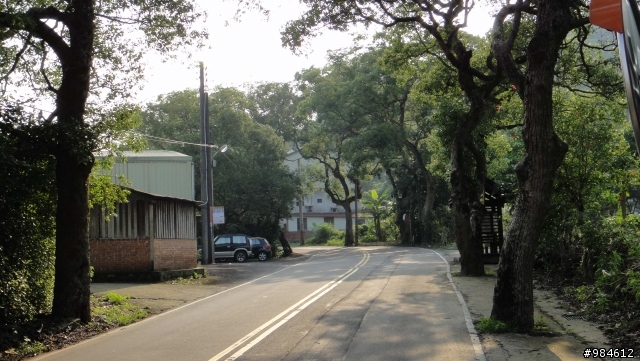 大白的一路迢迢遠,翻山越嶺南庄行