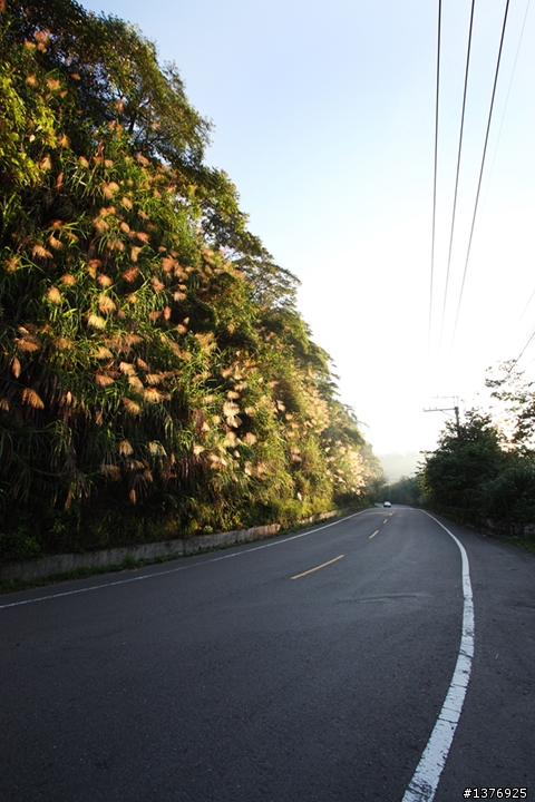 6.15~6.24島內流浪1130公里&曬昏頭錯搭綠島11號公車 day2