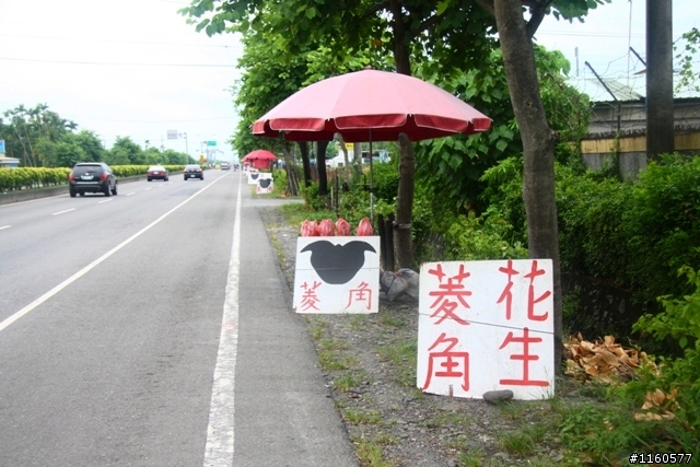 帶著單車、相機去旅行-騎向屏東新埤鄉