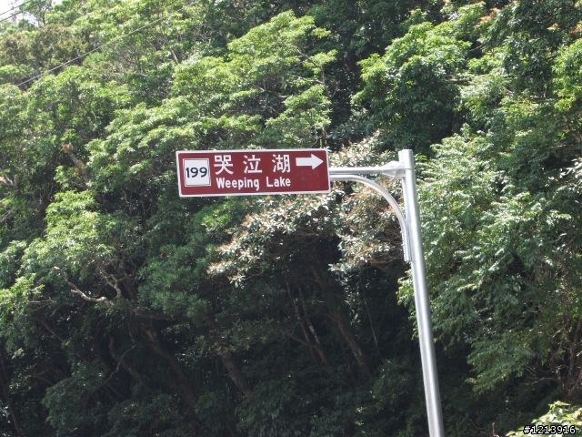 高雄出發-一個人的台東池上吃便當一日遊
