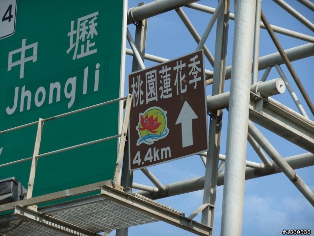 桃園蓮花季半日遊