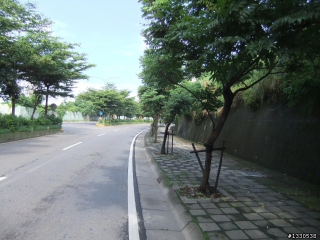 桃園蓮花季半日遊