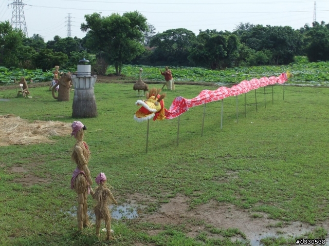 桃園蓮花季半日遊