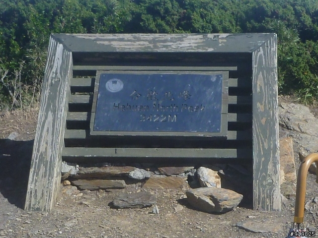 【開著小I去旅行】6/30~7/2合歡山松雪樓+清境國民賓館
