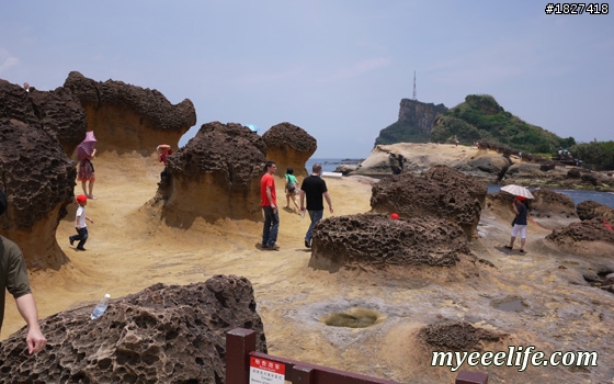 帶外國人大台北一日旅遊有山又有海的行程安排 – 實際攻略