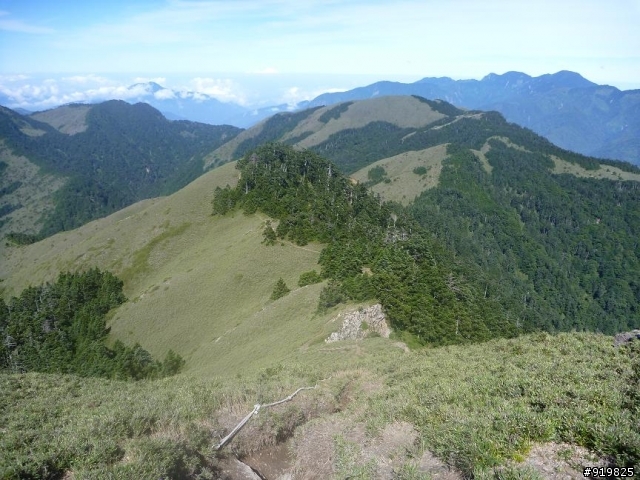 【開著小I去旅行】6/30~7/2合歡山松雪樓+清境國民賓館