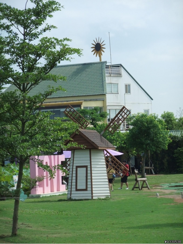 桃園蓮花季半日遊