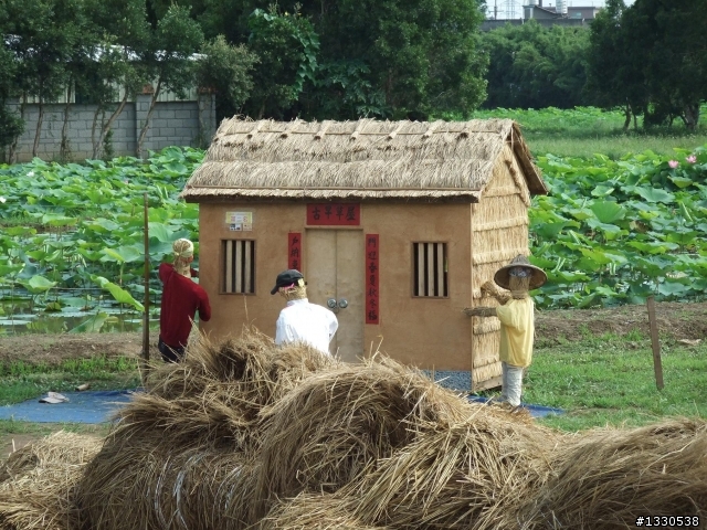 桃園蓮花季半日遊