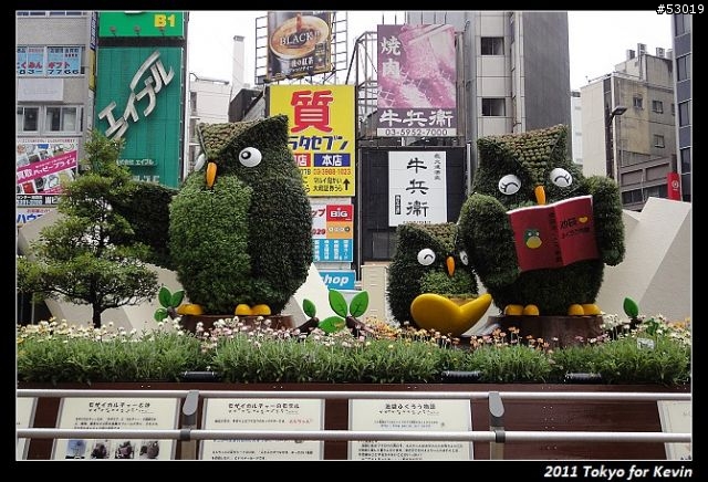 2011-06~管它的輻射~勇闖日本東京自由行~