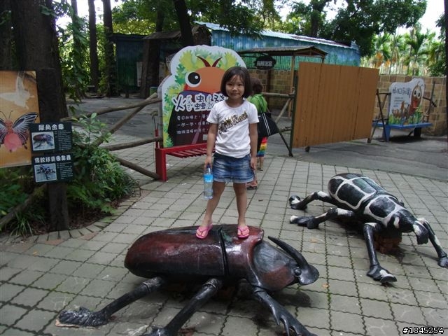 屏東八大森林遊樂園