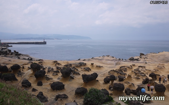 帶外國人大台北一日旅遊有山又有海的行程安排 – 實際攻略