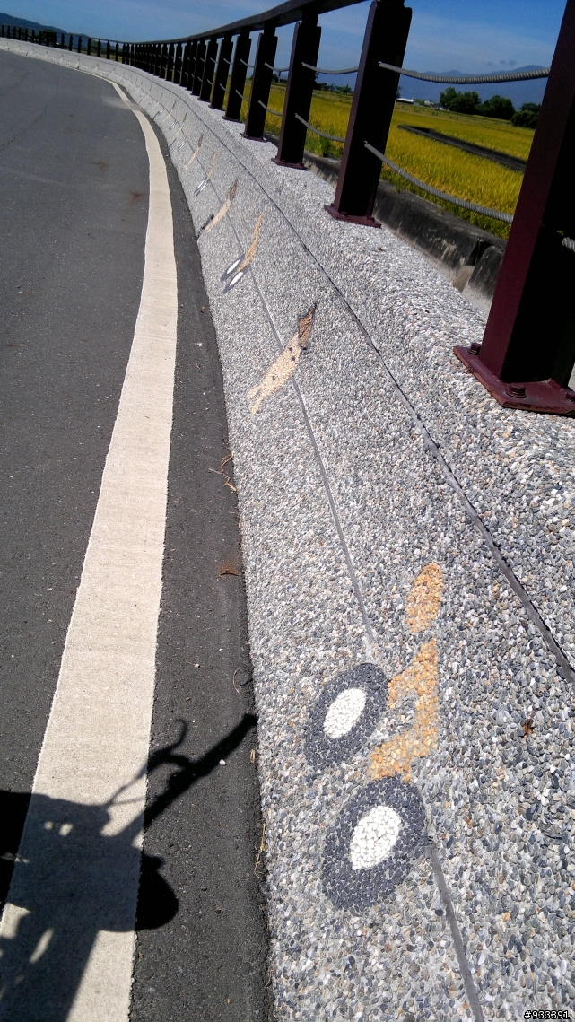 高雄→鵝鑾鼻→台東池上