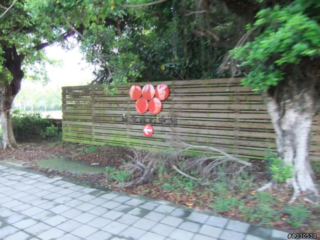 桃園蓮花季半日遊