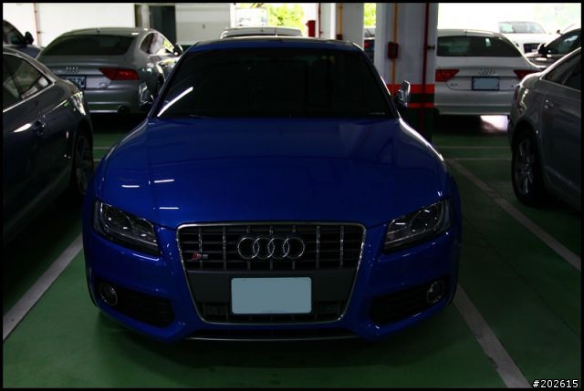 2011 Audi quattro Cup 高爾夫球賽 一日遊照片分享