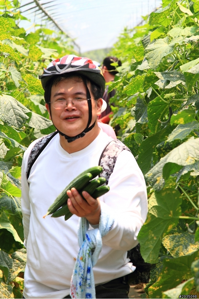 歡迎大家到茄苳霄裡陽光鐵馬道深度旅遊