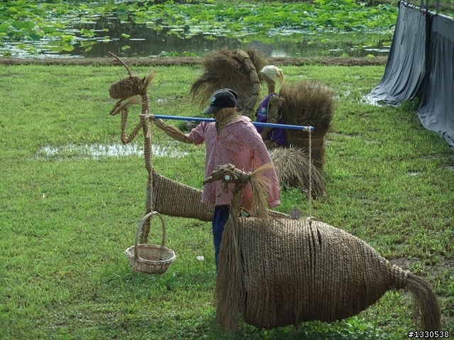 桃園蓮花季半日遊