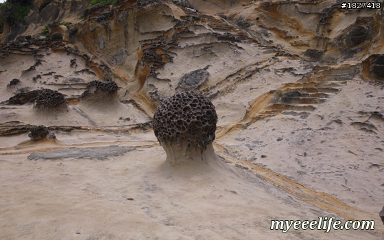 帶外國人大台北一日旅遊有山又有海的行程安排 – 實際攻略