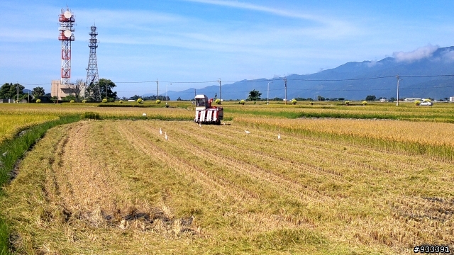高雄→鵝鑾鼻→台東池上