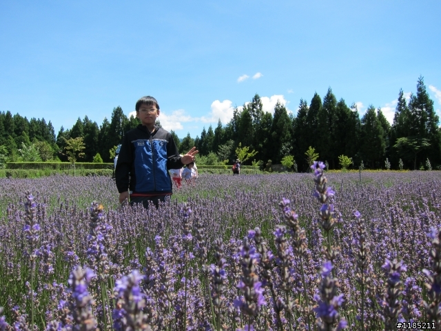 二個傻瓜騎機車半日征服武嶺&梅峰(梅峰篇)