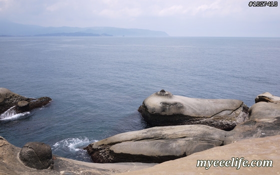 帶外國人大台北一日旅遊有山又有海的行程安排 – 實際攻略