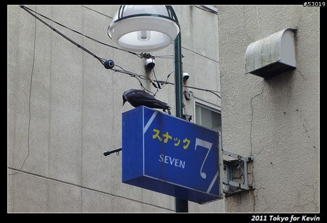 2011-06~管它的輻射~勇闖日本東京自由行~