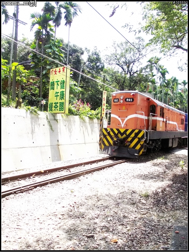 騎機車拍集集線復駛100/06/30-07/08試運轉..07/09正式復駛並舉行為期一個月的2011集集火車好多節