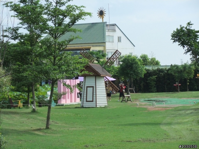 桃園蓮花季半日遊