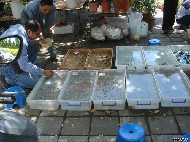 要環趁早之一個人的五天四夜環島行Day 4《男生的遊記有人會看嗎?》