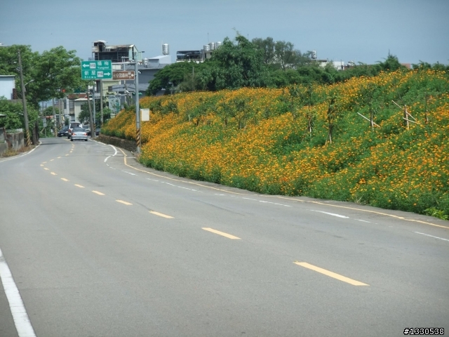 桃園蓮花季半日遊