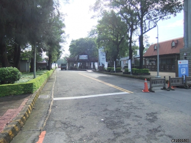 桃園蓮花季半日遊
