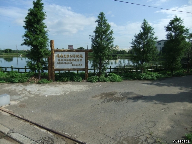 桃園蓮花季半日遊
