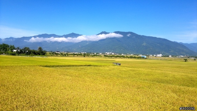 高雄→鵝鑾鼻→台東池上