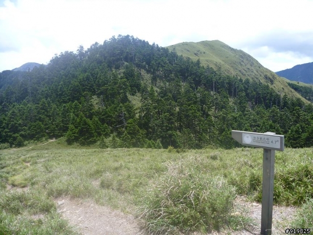 【開著小I去旅行】6/30~7/2合歡山松雪樓+清境國民賓館