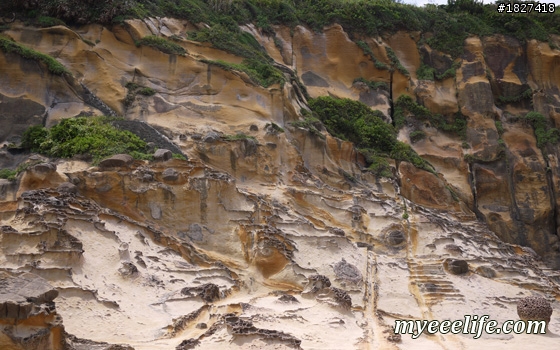 帶外國人大台北一日旅遊有山又有海的行程安排 – 實際攻略
