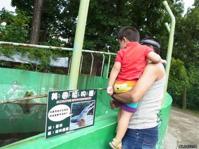 屏東八大森林遊樂園