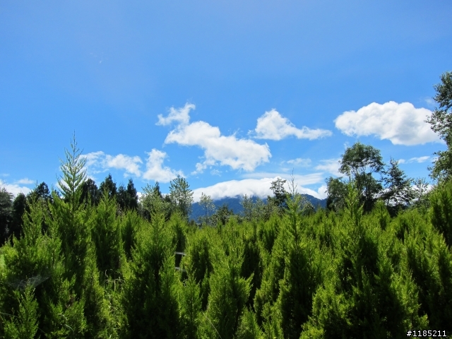 二個傻瓜騎機車半日征服武嶺&梅峰(梅峰篇)