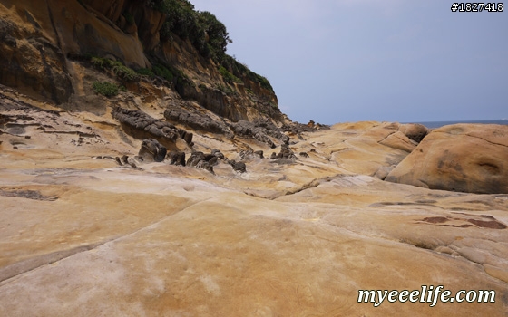 帶外國人大台北一日旅遊有山又有海的行程安排 – 實際攻略