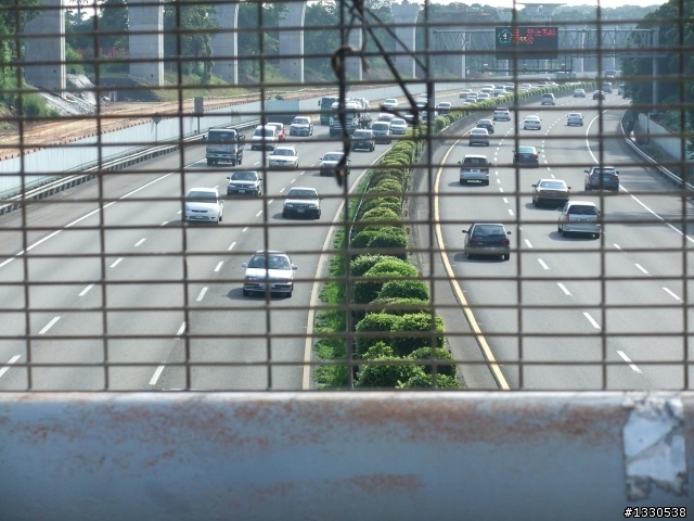桃園蓮花季半日遊