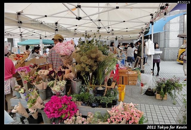 2011-06~管它的輻射~勇闖日本東京自由行~