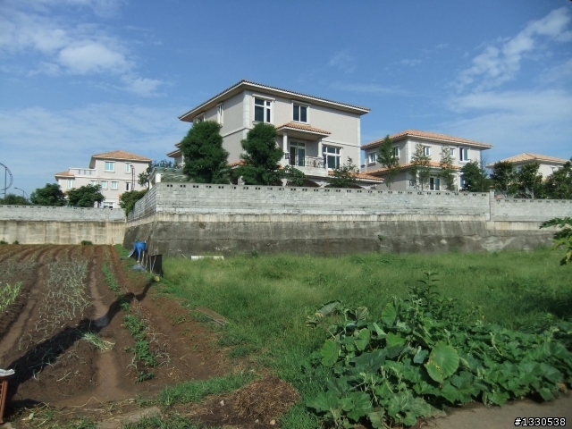桃園蓮花季半日遊