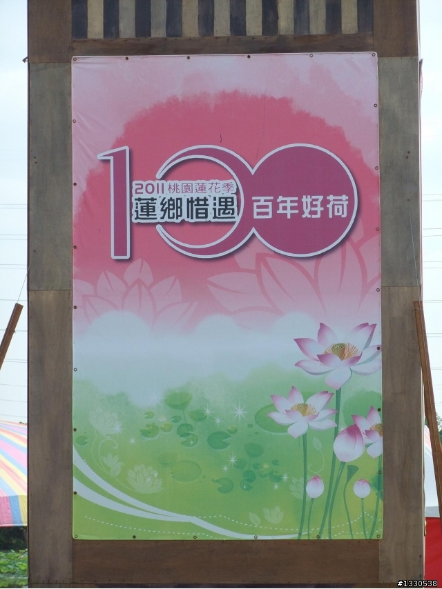 桃園蓮花季半日遊